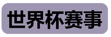 世界杯赛事